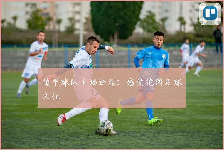 德甲球队主场巡礼：感受德国足球文化