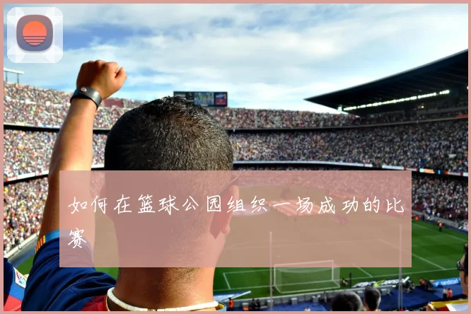 如何在篮球公园组织一场成功的比赛