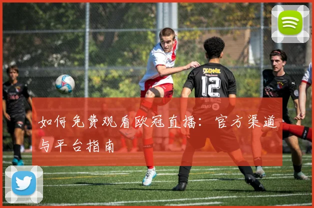 如何免费观看欧冠直播：官方渠道与平台指南